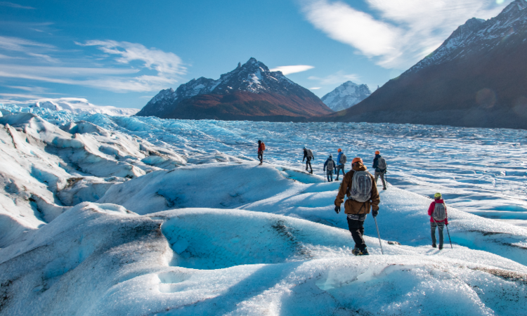 Ice Hike Grey Glacier